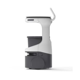 Bear Servi Mini Robot, Battery